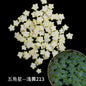 Glow-in-the-dark Polymer Clay Nail Patch Fluorescent Slice Nail Jewelry Plum Slice Diy Slime Filling Material