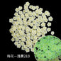 Glow-in-the-dark Polymer Clay Nail Patch Fluorescent Slice Nail Jewelry Plum Slice Diy Slime Filling Material