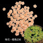 Glow-in-the-dark Polymer Clay Nail Patch Fluorescent Slice Nail Jewelry Plum Slice Diy Slime Filling Material