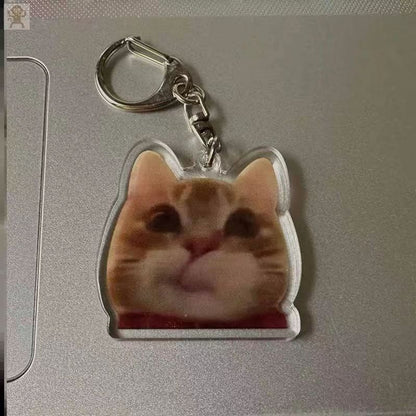 Fun keychain Banana Cat acrylic creative keychain bag Pendant Keychain Black Beauty cartoon keychain