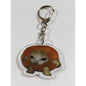 Funny Food Cat Acrylic Keychain Cat School Bag Pendant Transparent Cartoon Gift Keychain